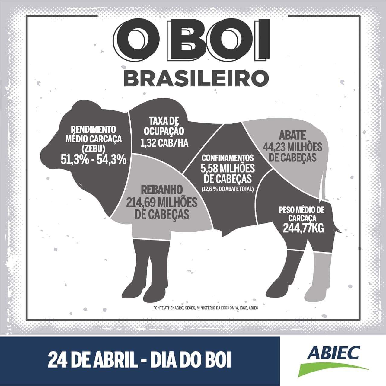 o boi brasileiro