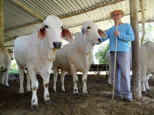 boi Brahman boi Brahman