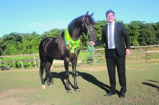 cavalo-apolo-2d8ca3812d6e87c41c7abbd591afe467 cavalo-apolo-2d8ca3812d6e87c41c7abbd591afe467