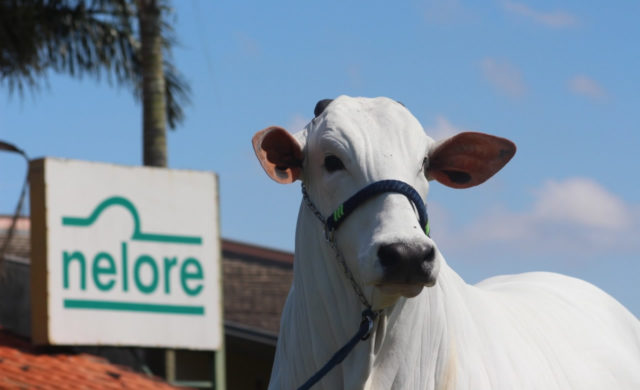 expo-agro-itapetininga-2018 expo-agro-itapetininga-2018
