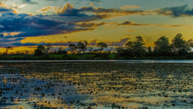 preservacao-no-mato-grosso-do-sul preservacao-no-mato-grosso-do-sul