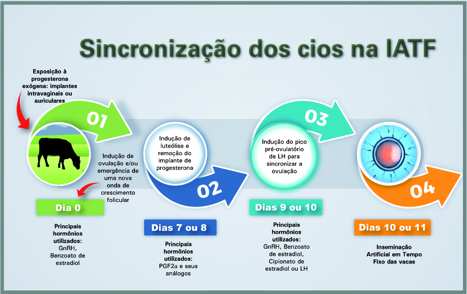 sincronizacao-dos-cios-na-IATF