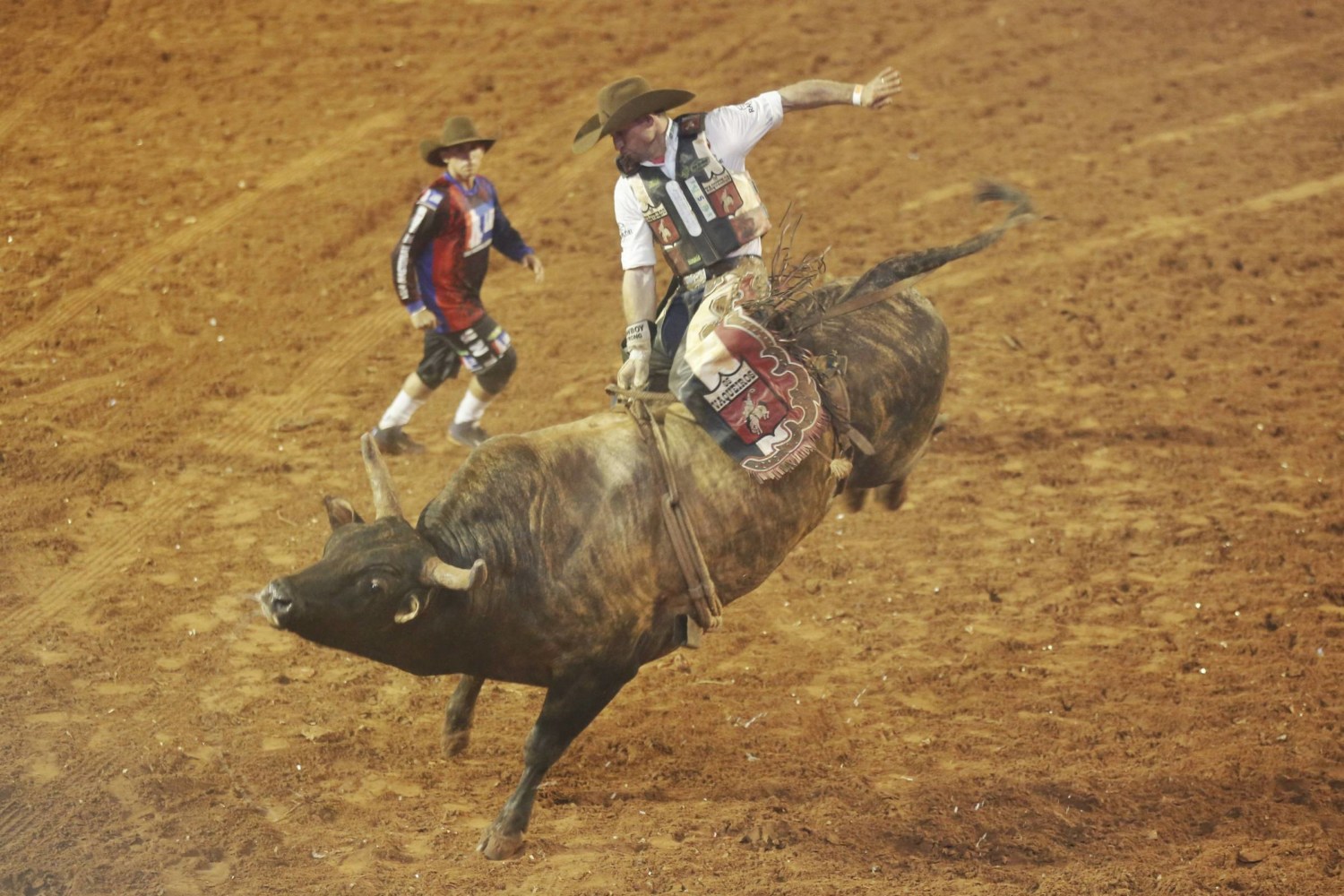 Rodeio de Colorado 2018 - FINAL EM TOUROS 