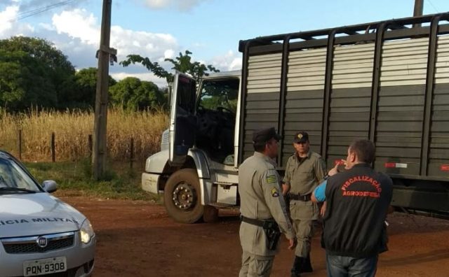 furto de gado furto de gado