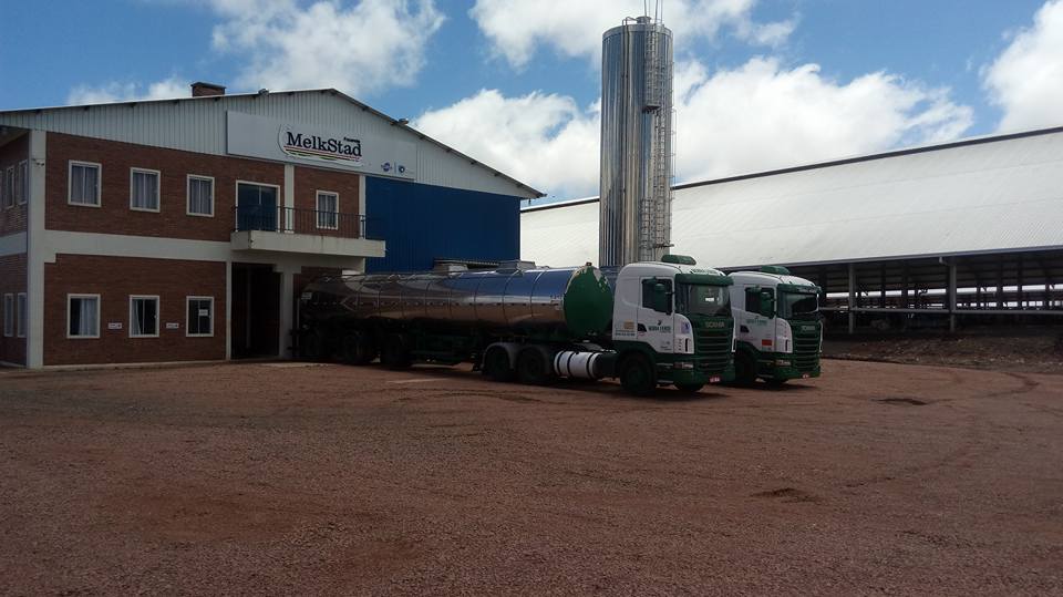 Grupo Melkstad do Paraná atinge recorde de produção de leite 3