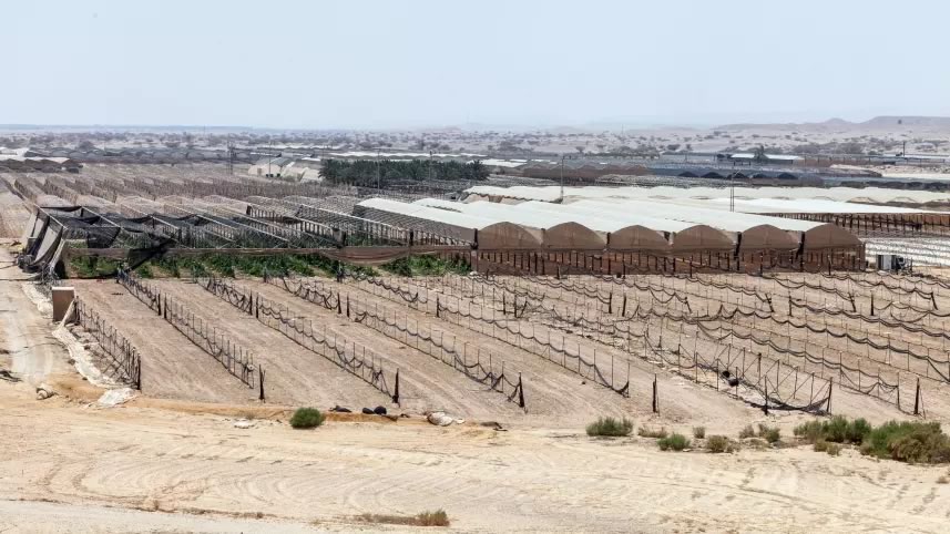 Israel Arava Desert