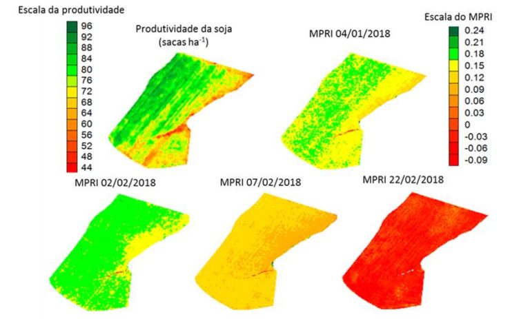 Mapas da variabilidade espacial da produtividade da soja e do índice de vegetação
