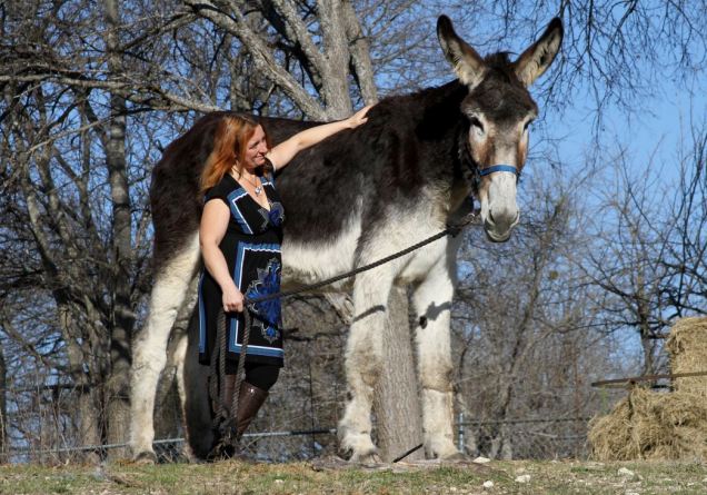 Romulus_and_Cara maior burro do mundo 2