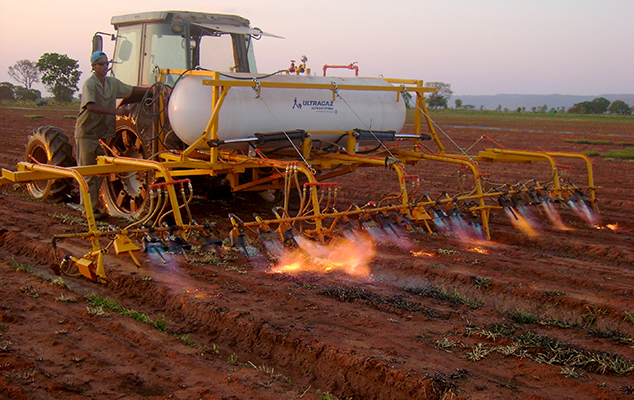 Método de flamejamento para controle de plantas daninhas