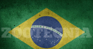bandeira do brasil 13 de maio zootecnista