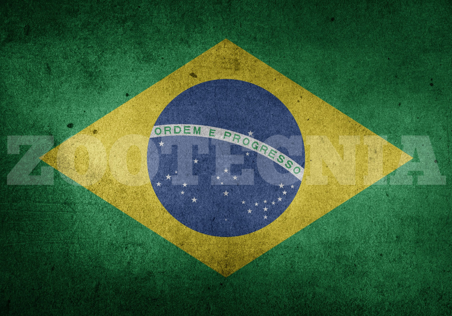 bandeira do brasil 13 de maio zootecnista