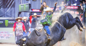 principais campeões de rodeio