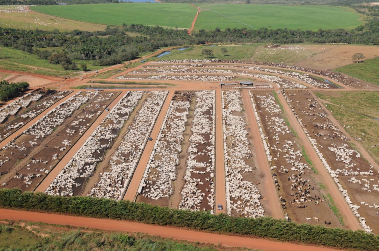 FAZENDA CONFORTO