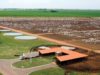 fazenda JBS