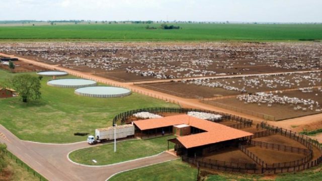 fazenda JBS fazenda JBS
