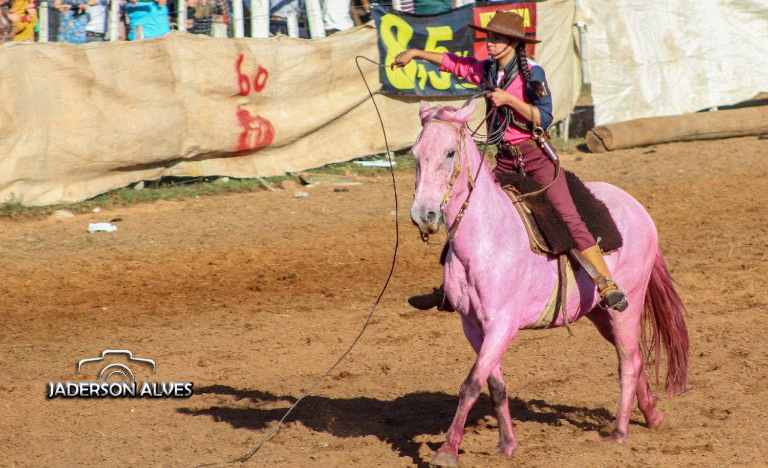 cavalo e bezerro pintados de rosa no rio grande do sul