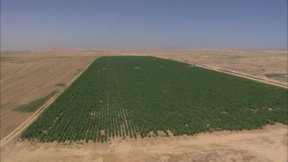 deserto-del-negev-israele-campo-agricoltura-luce-del-sole
