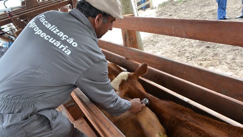 vacina de raiva obrigatória