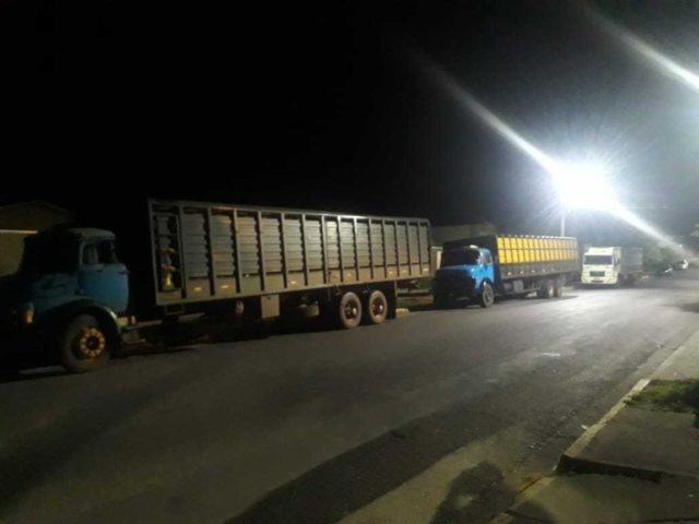gado roubado gado roubado