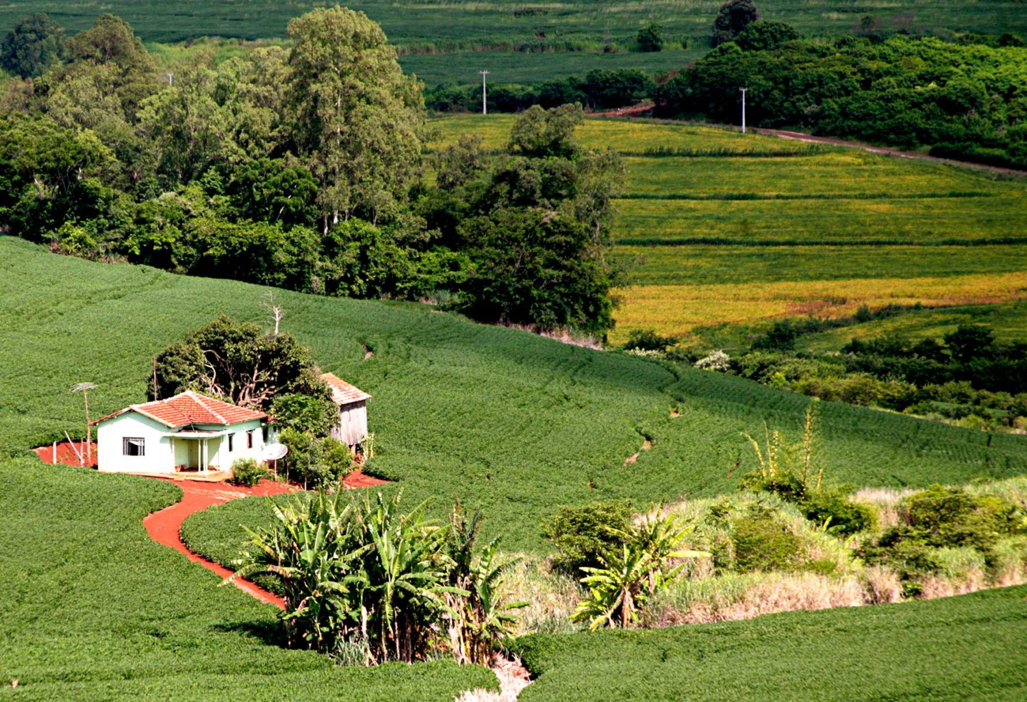 imóvel rural