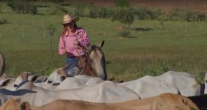 mulheres do agro