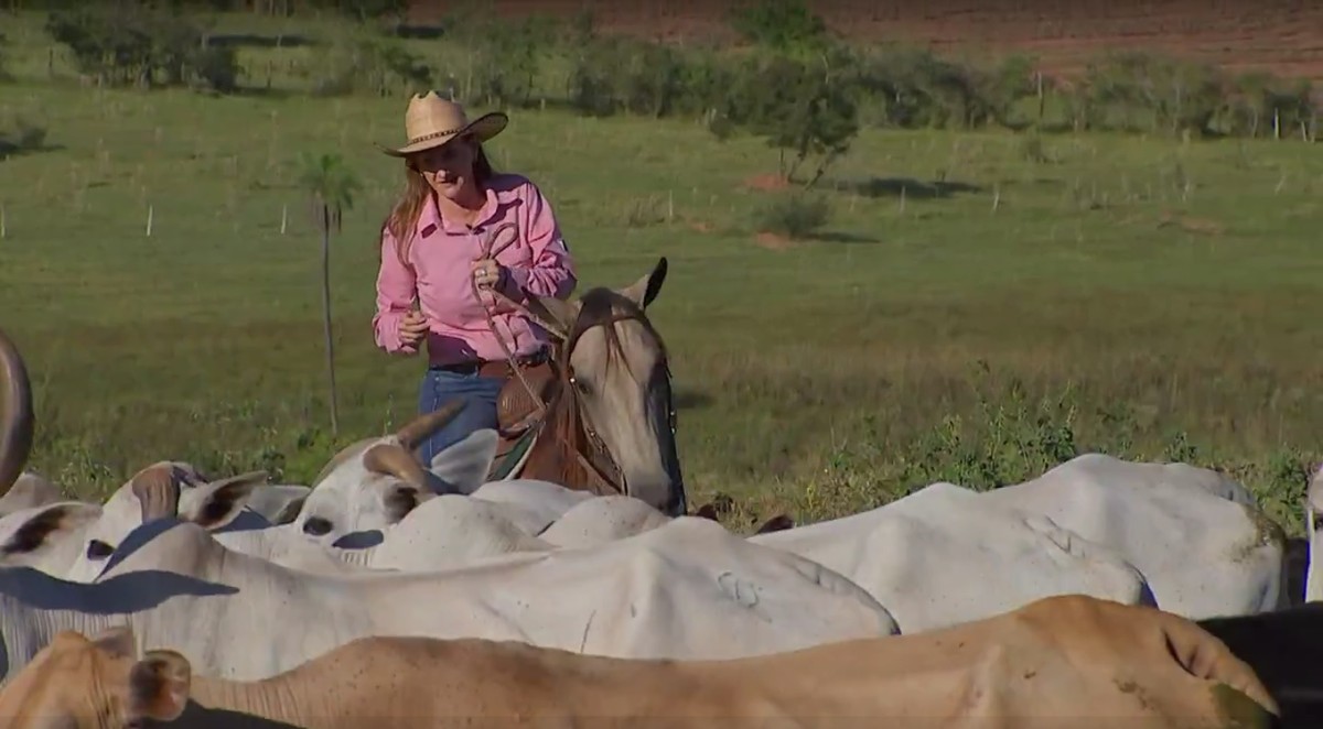 mulheres do agro