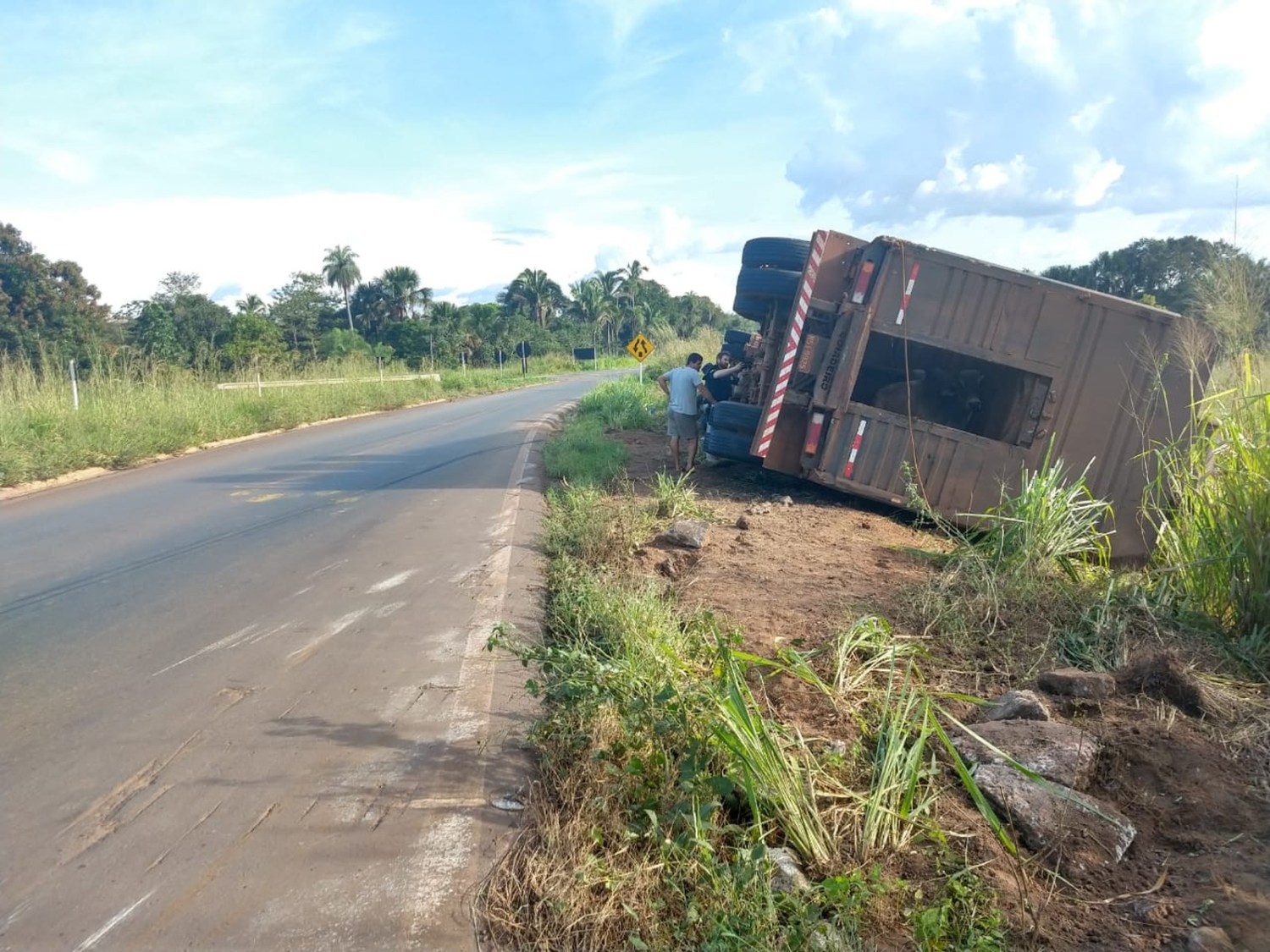 Carreta com gado tombou em rodovia