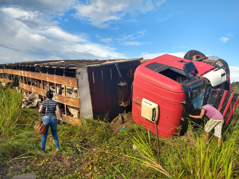 Carreta com gado tombou em rodovia