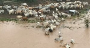 chuva devasta austrália