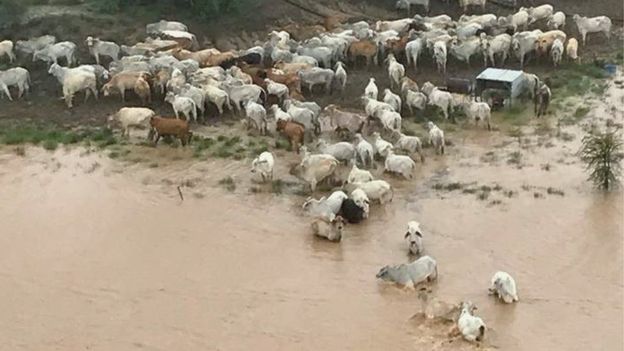 chuva devasta austrália