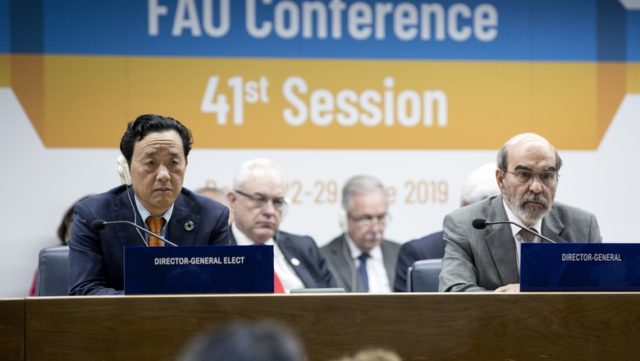 diretor da FAO diretor da FAO