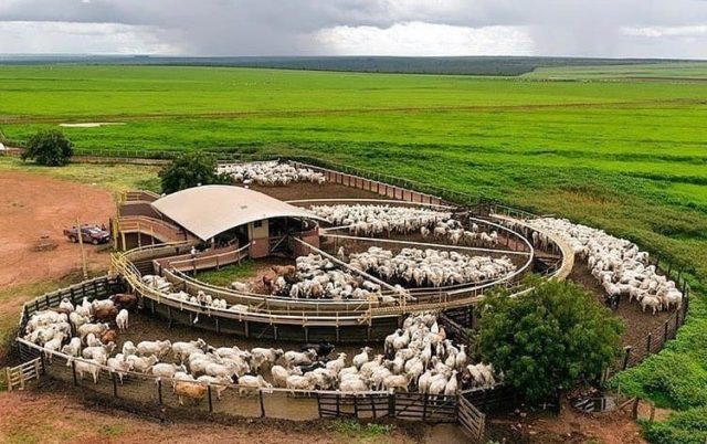 maiores fazendas do Brasil
