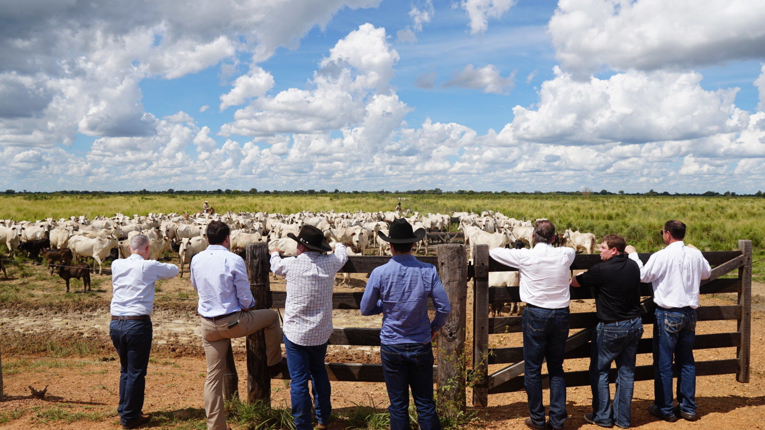 Canadenses visitam projeto pecuário da Nova Piratininga