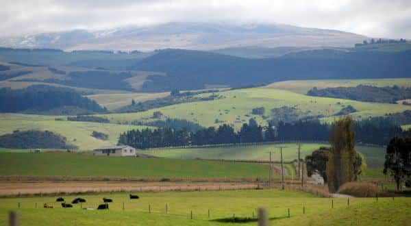 Conheça as maiores fazendas do mundo, gigantes! - Compre Rural