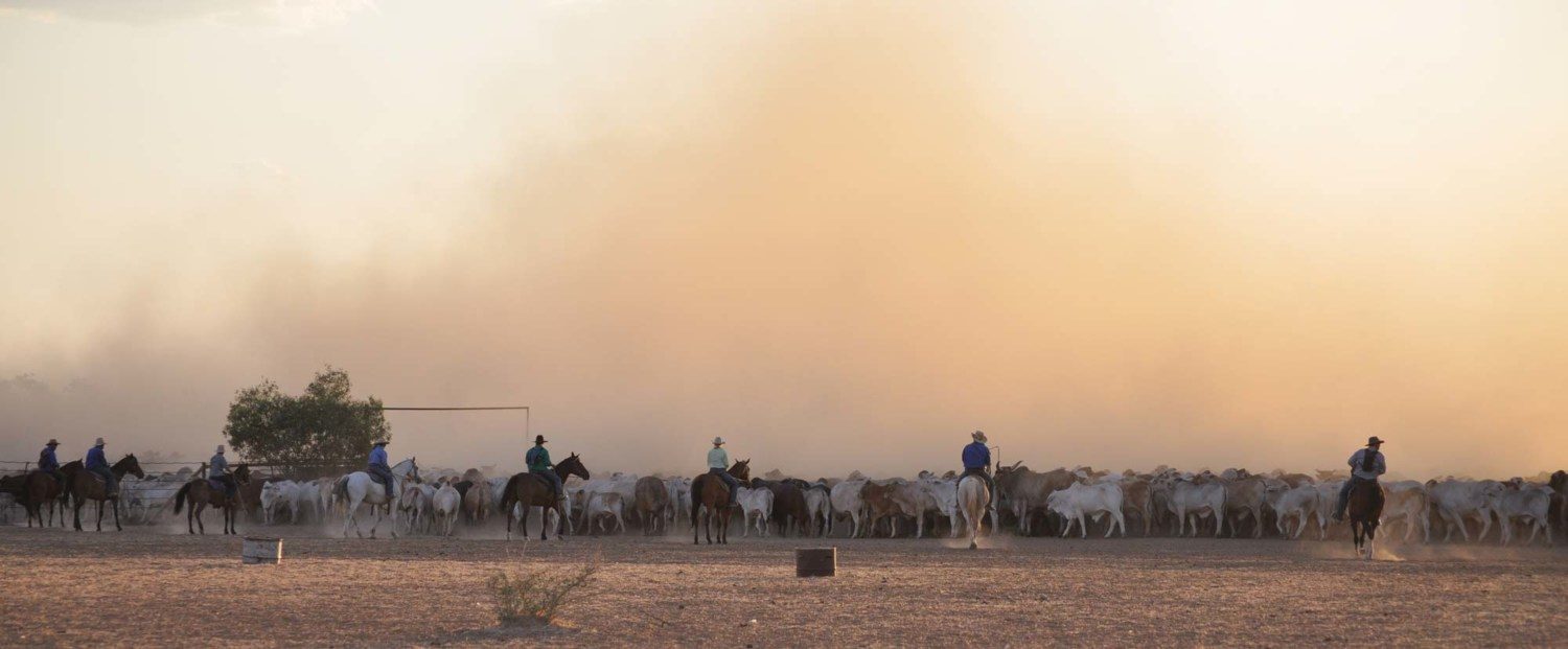 Davenport-Mustering1