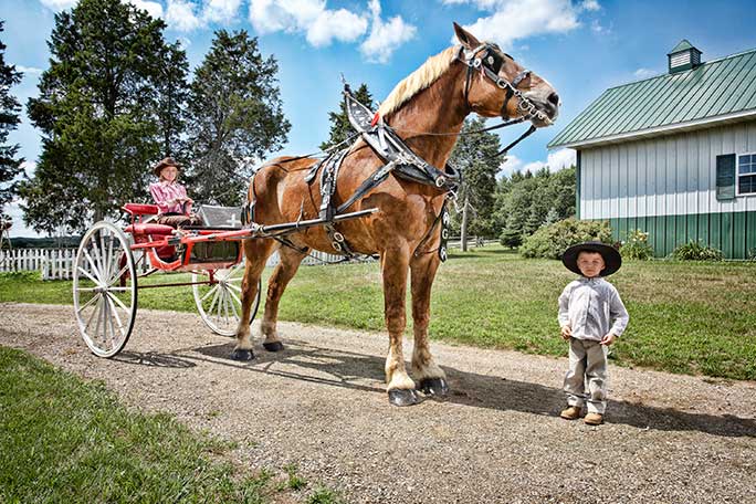 Big Jake, maior cavalo do mundo. Foto Divulgação.