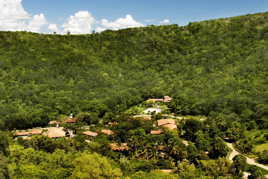 Reflorestamento da RPPN Fazenda Bulcao
