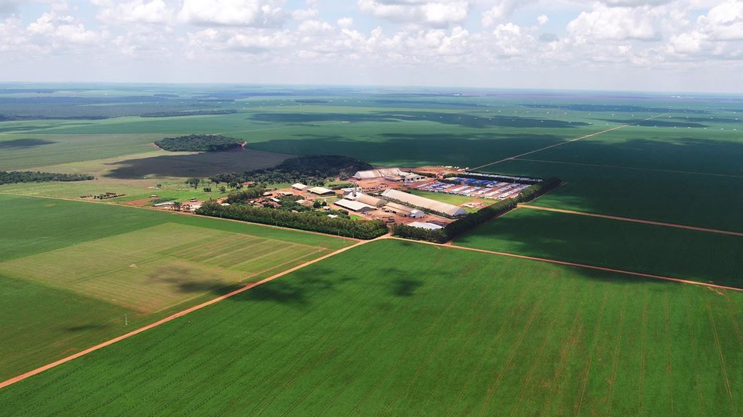 agropecuaria bom futuro