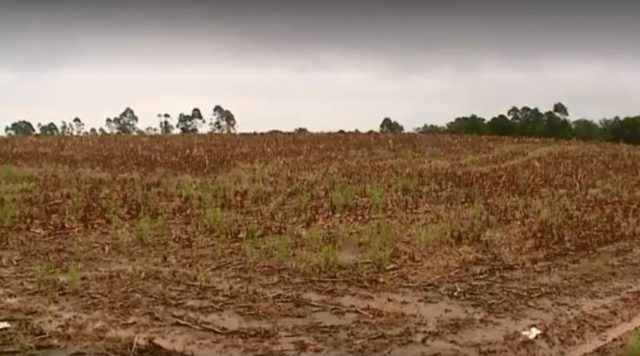 prejuizo com chuvas no sul prejuizo com chuvas no sul