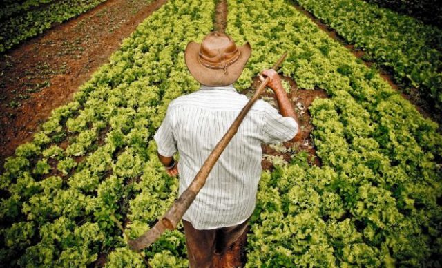 agricultor-640x388