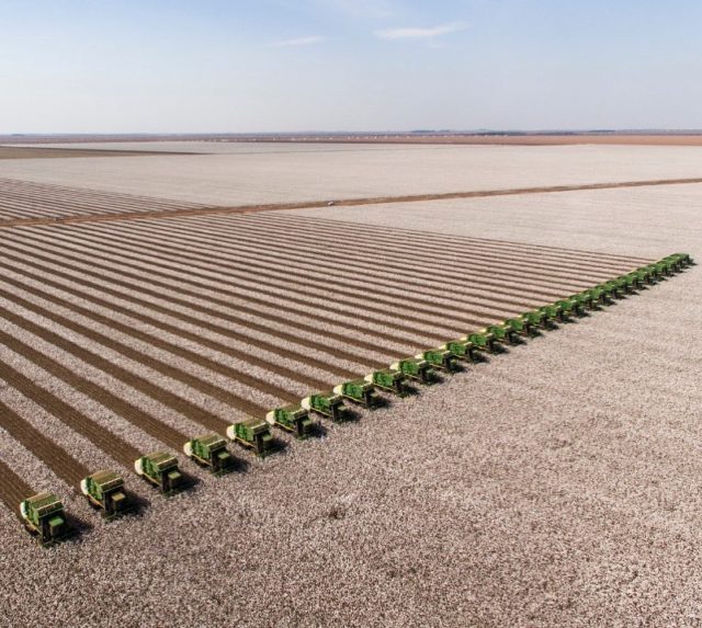 agropecuaria bom futuro algodao colheita