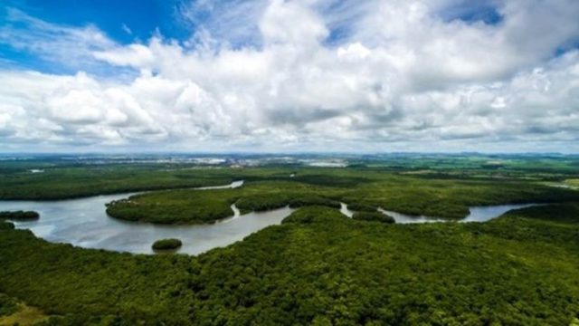 amazonia