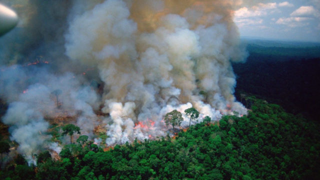 1566416656-amazon-on-fire-960x540