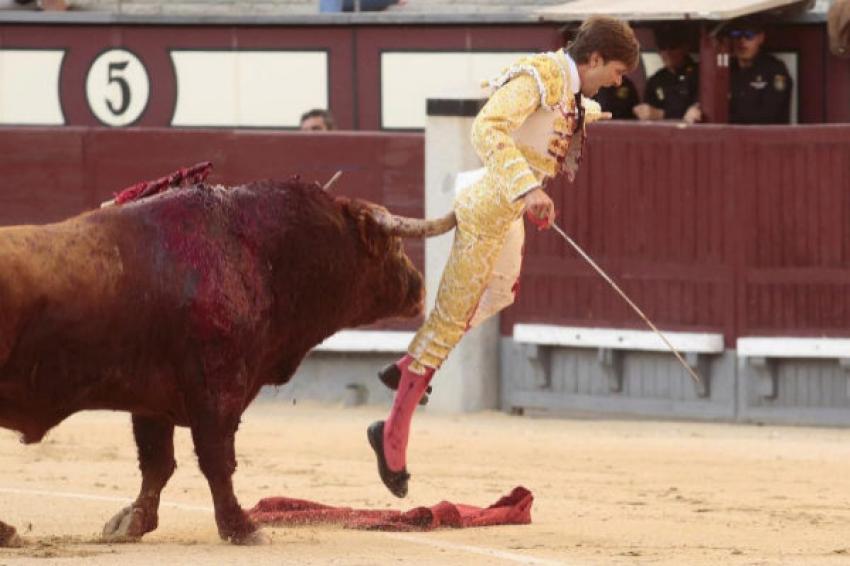 Seis pessoas ficam feridas na primeira corrida de touros do festival de San  Fermin, na Espanha