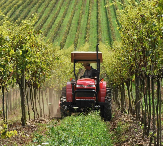 Agritech leva aos produtores do sul