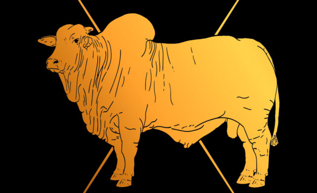CAPA-Catalogo-Corte-Zebu- GENEX