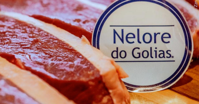 Destaque-Nelore-do-Golias