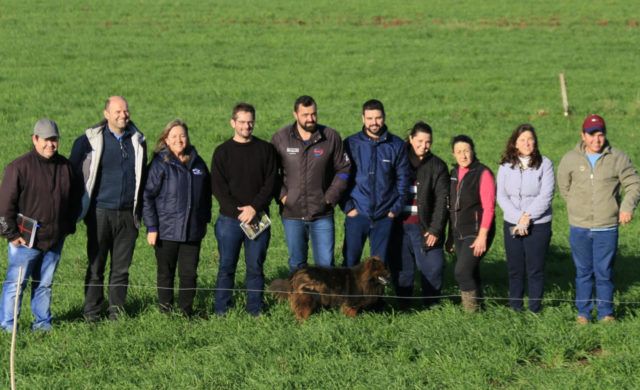 Rio Grande do Sul retoma programa leiteiro Balde Cheio