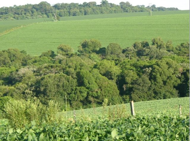 areaagricultura03