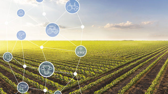capa_agrishow-011473x829